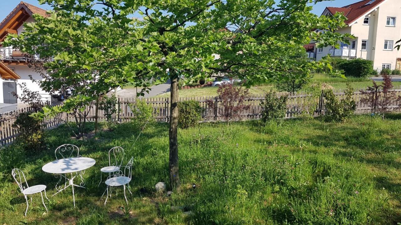 Historisches Fachwerkhaus "Hoher Hirschen" - Stilvolles Studio Und Museales Apartment Mit Romantischem Hof Und Garten Bodman-Ludwigshafen Bagian luar foto